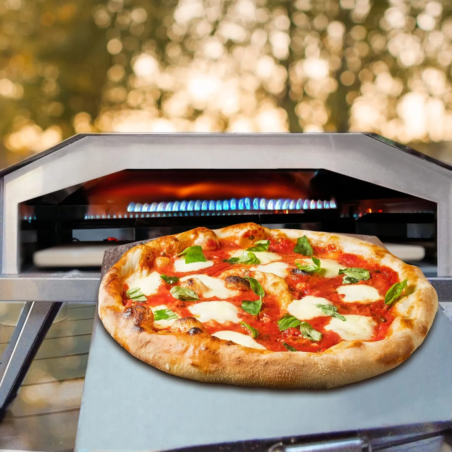 12" Gas Pizza Oven, Stainless Steel Outdoor Pizza Oven, Sliver