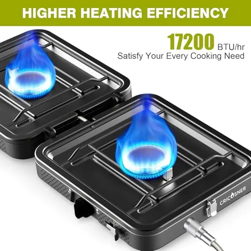 2 Burner Portable Propane Camping Stove, 17200 BTU Camp Stove