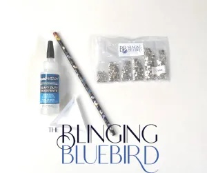 Basic Rhinestone Starter Kit