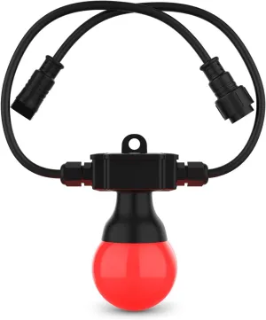 CHAUVET DJ LED Lighting (Festoon 2 RGB)