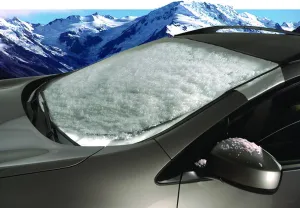 Intro-Tech Automotive LX-42-S Custom Fit Windshield Winter, Snow, Ice and Frost Shade for Select Lexus RC350 Models, Silver