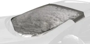 Intro-Tech Automotive TT-97-S Custom Fit Windshield Winter, Snow, Ice and Frost Shade for Select Toyota Yaris 3/5-Door Hatchback Models, Silver