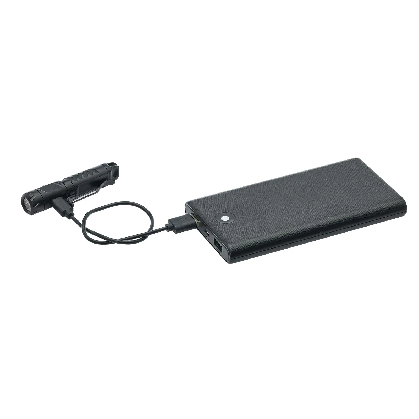 Kodiak® Keychain Flashlight with Clip