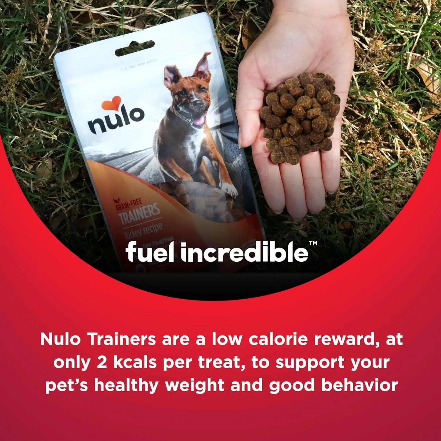 Nulo Freestyle Salmon Flavor Healthy Dog and Puppy Training Treats, 16 Ounce Pouch