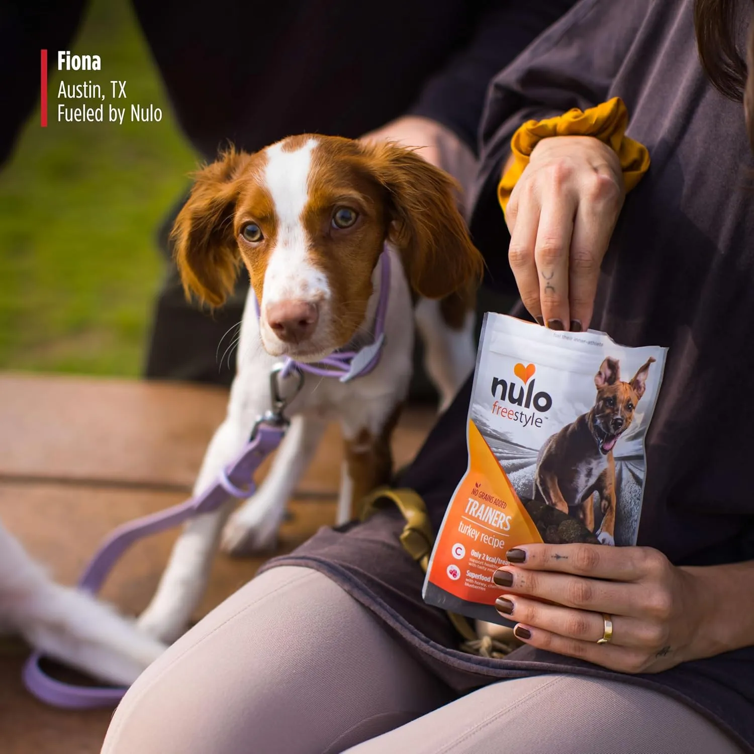 Nulo Freestyle Salmon Flavor Healthy Dog and Puppy Training Treats, 16 Ounce Pouch